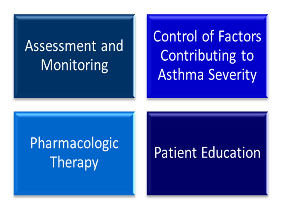 There are four basic components to the work of the R.T. in asthma management